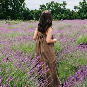 & Other Stories brown dress